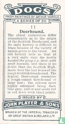 Deerhound - Afbeelding 2