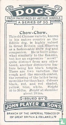 Chow-Chow - Afbeelding 2