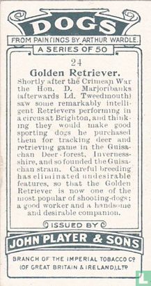 Golden Retriever - Afbeelding 2