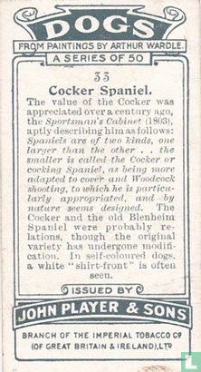 Cocker Spaniel - Afbeelding 2