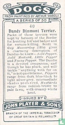 Dandy Dinmont Terrier - Afbeelding 2