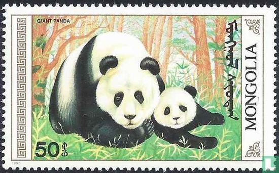 Panda's