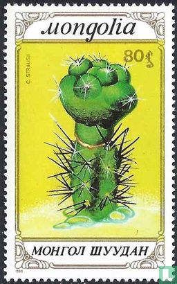 Cactus   