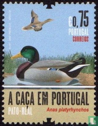 Vogeljacht in Portugal