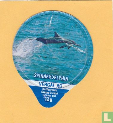 Spinnerdelphin