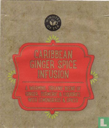 Caribbean Ginger Spice Infusion - Afbeelding 1