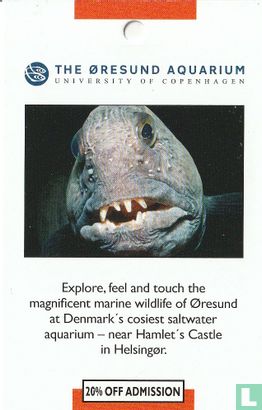 The Øresund Aquarium - Image 1