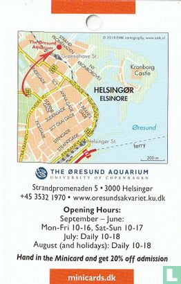 The Øresund Aquarium - Image 2