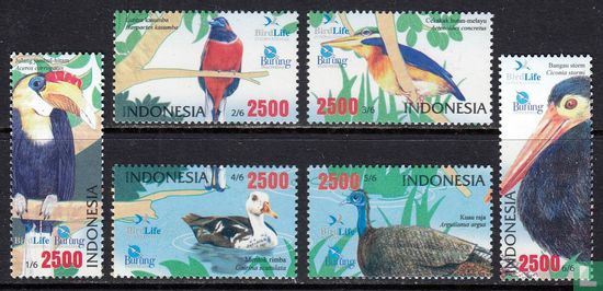 Birds of Indonesia