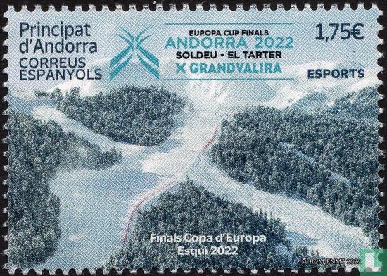 Finale de la coupe d'Europe de ski