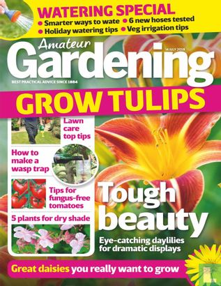 Amateur Gardening 07-14