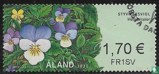 Fleurs sauvages