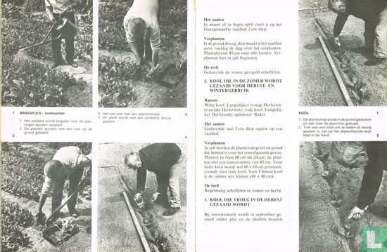 Uw groentetuin - Image 3