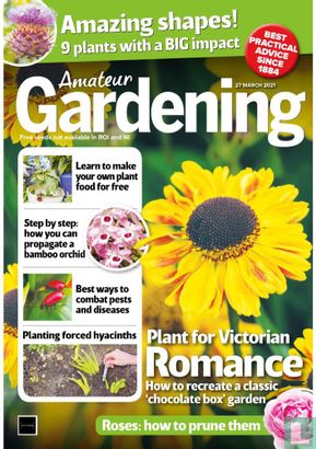 Amateur Gardening 03-27