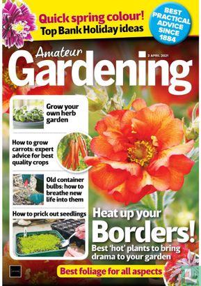 Amateur Gardening 04-03