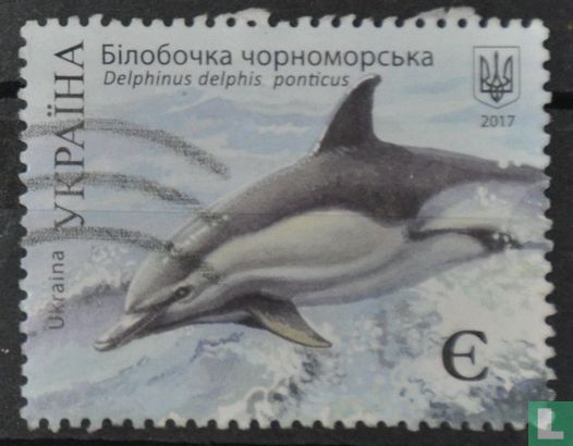 Black Sea dolphin