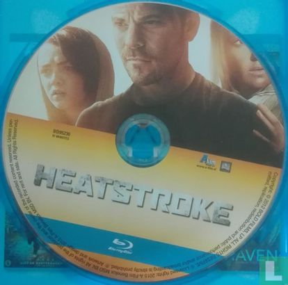 Heatstroke - Image 3