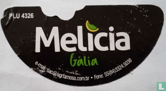 Melicia melon galia