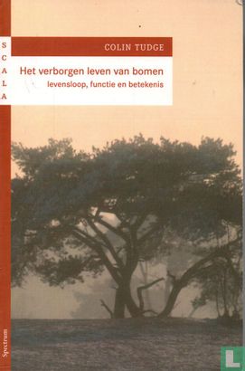 Het verborgen leven van bomen  - Image 1