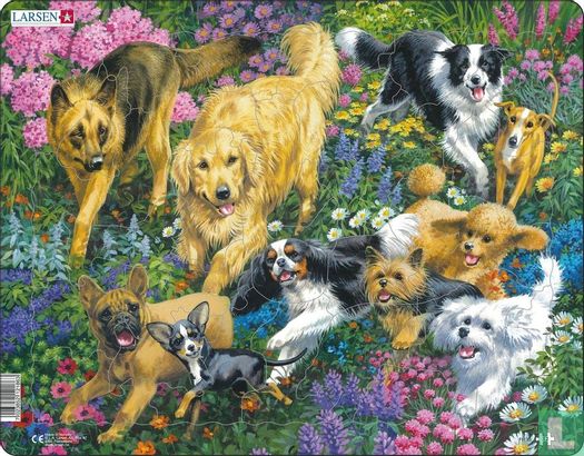 Honden in bloemenveld - Afbeelding 1