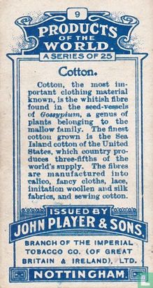 Picking Cotton - Image 2
