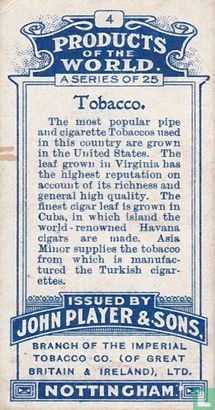 Growing Tobacco - Image 2