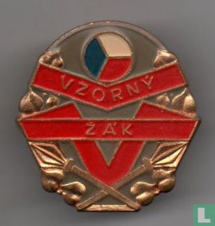 Proficiency Badge for Students at Basic Schools