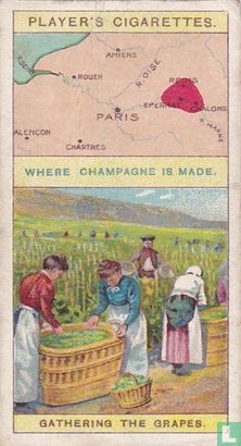 Gathering the Grapes - Image 1