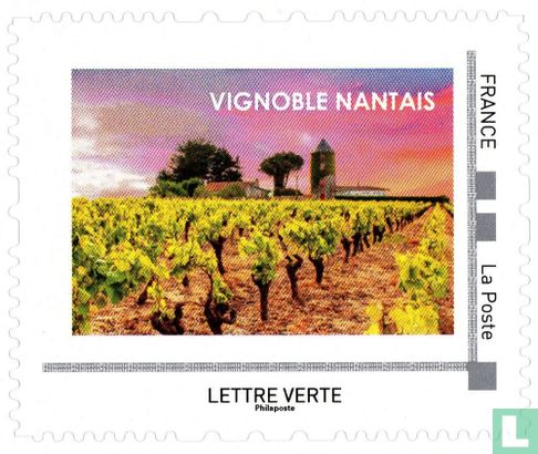 Nantes wijngaard
