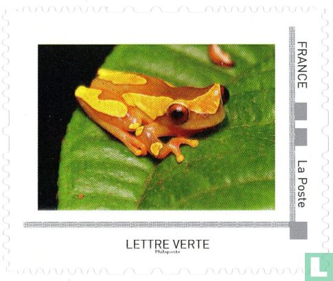 Biodiversität in Guyana