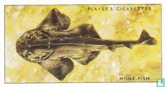 Monk-Fish - Image 1