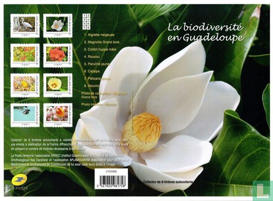 Biodiversität in Guadeloupe - Bild 2