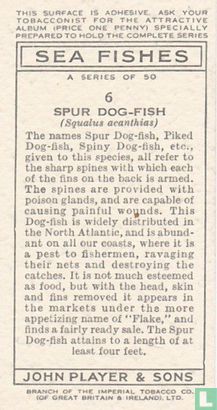 Spur Dog-Fish - Image 2