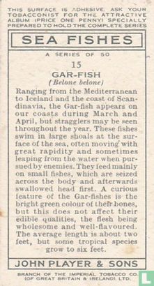 Gar-Fish - Image 2