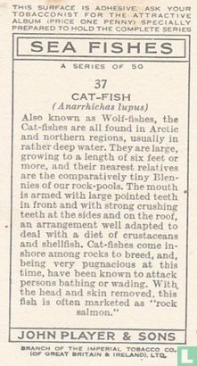 Cat-Fish - Image 2
