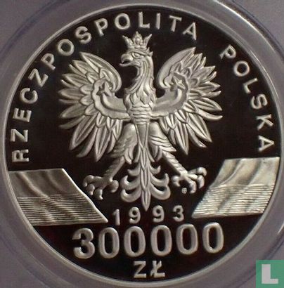 Poland 300000 zlotych 1993 (PROOF) "Barn swallows" - Image 1