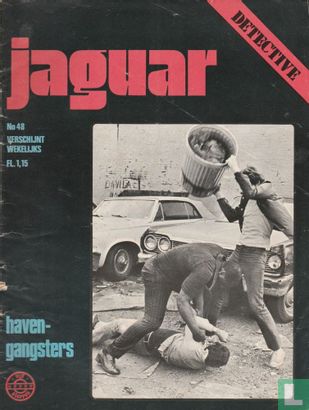 Jaguar 48 - Image 1