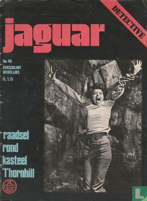 Jaguar 40 - Afbeelding 1