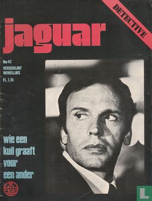 Jaguar 42 - Afbeelding 1