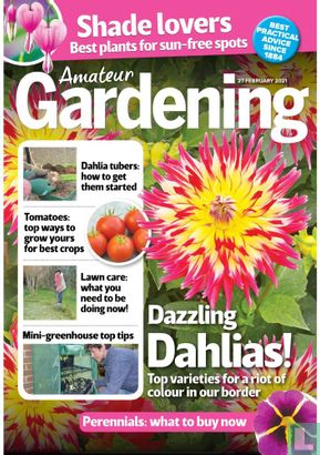 Amateur Gardening 02-27