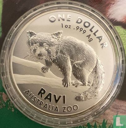 Australia 1 dollar 2018 (coincard) "Ravi - Red panda" - Image 3