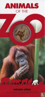 Australie 1 dollar 2012 (folder) "Orang-utan" - Image 1