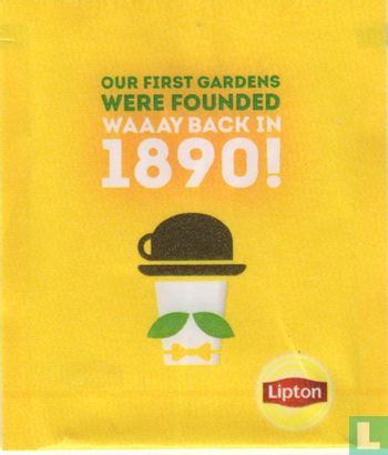 Our First Gardens were founded - Afbeelding 1