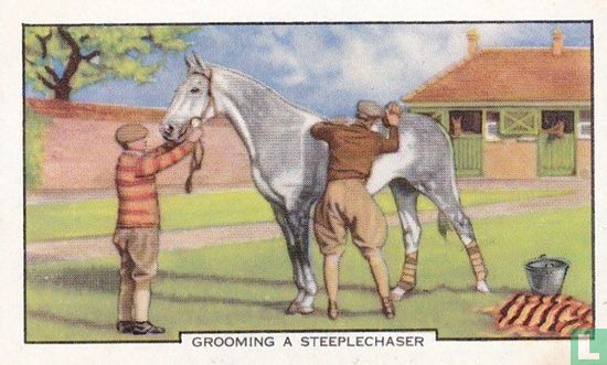 Grooming a Steeplechaser - Afbeelding 1