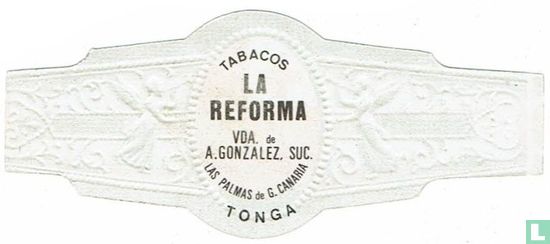 Tonga - Image 2