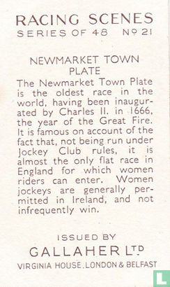The Newmarket Town Plate - Afbeelding 2