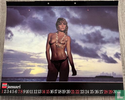 Miss Panorama-kalender - Afbeelding 1
