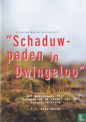 Schaduw-paden in Dwingeloo - Image 1
