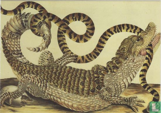 Alligator und Schlange, 1730 - Afbeelding 1