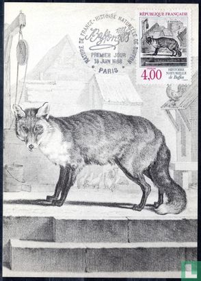 Fox - Image 1